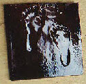 Baby feet tile