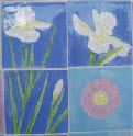 Iris tiles for Newark Hospital