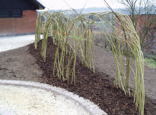 Railway arches were the inspiration for this willow sculpture