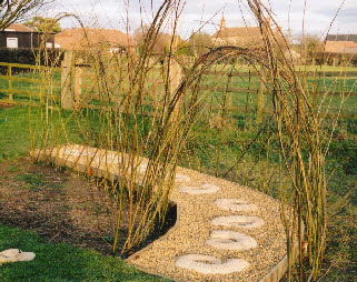 Living willow tunnel in a school wild flower garden