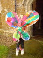 Willow butterfly